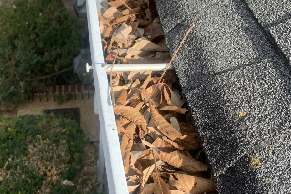 Gutter Cleaning Hot Springs AR